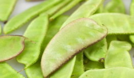 麻豆荚,揭秘植物繁殖的奇妙奥秘